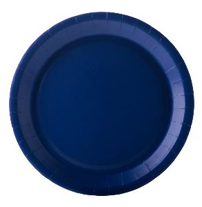 10 assiettes bleus marine carton 22 cm